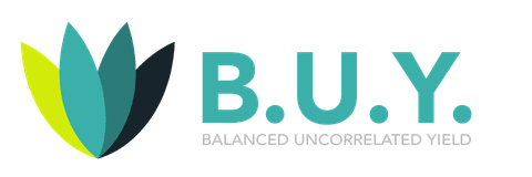 B.U.Y. Invest company logo
